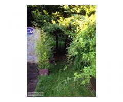 Chalet, Centro, 6 dormitorios. Las Rozas de Madrid