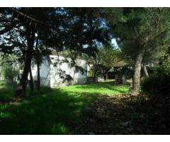 Chalet con trastero y 3 habitaciones Pedrezuela