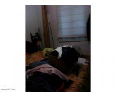 Casa con 2 dormitorios y calefacción Centro San Agustin del Guadalix