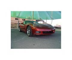 CORVETTE C6 COUPE TARGA