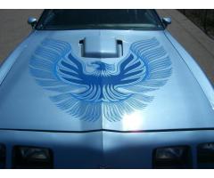 PONTIAC Firebird TRANS AM 400CC., T-TOP, HISTORICO EN STOCK