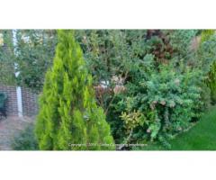 Chalet con chimenea y sotano Los molinos