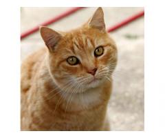 The Hidden Truth About Maplestory 2 Alikar