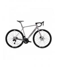 2026 Canyon Endurace CF 7 Di2 LTD Road Bike (PIENARBIKESHOP)